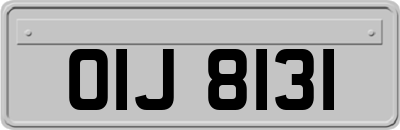 OIJ8131