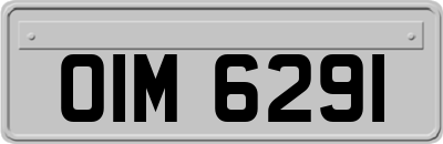 OIM6291