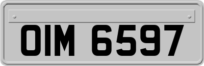 OIM6597