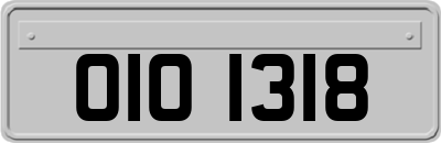 OIO1318