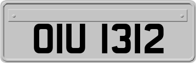 OIU1312