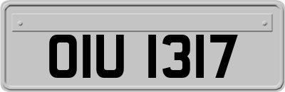 OIU1317