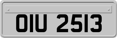 OIU2513
