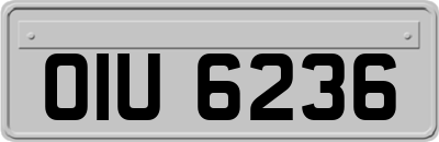 OIU6236