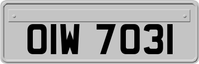 OIW7031