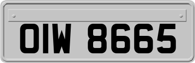 OIW8665
