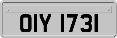 OIY1731