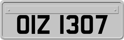 OIZ1307
