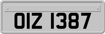OIZ1387
