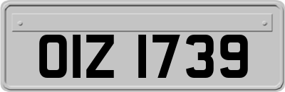 OIZ1739