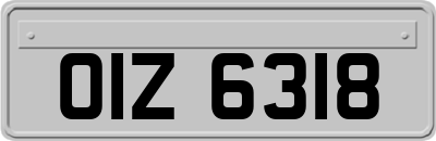 OIZ6318
