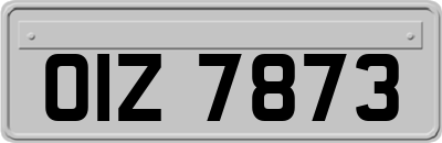 OIZ7873