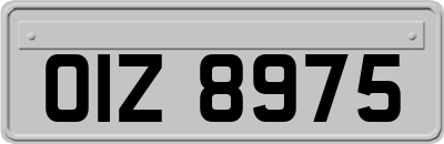 OIZ8975