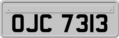 OJC7313