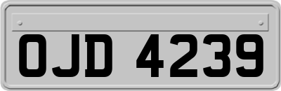 OJD4239