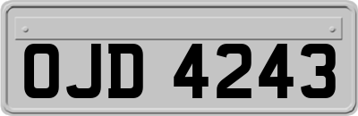 OJD4243
