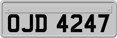 OJD4247