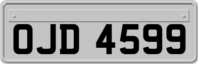 OJD4599