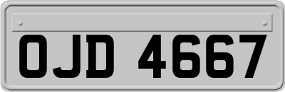 OJD4667