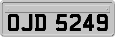 OJD5249