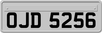 OJD5256