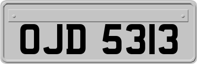 OJD5313