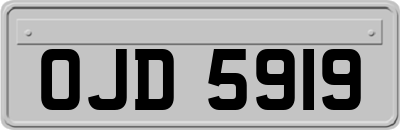 OJD5919