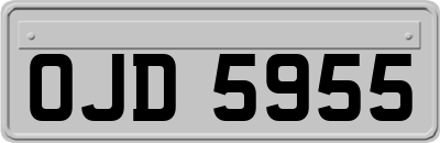 OJD5955