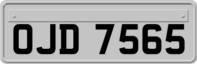 OJD7565