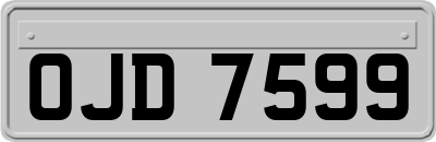 OJD7599