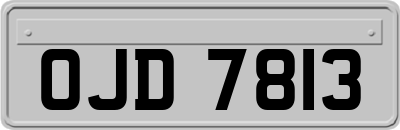 OJD7813