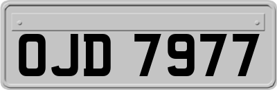 OJD7977