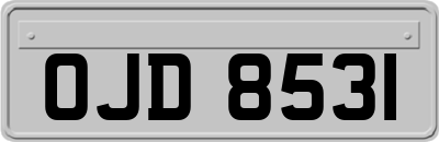 OJD8531