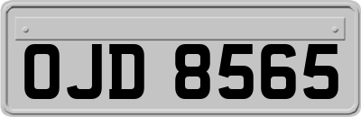 OJD8565