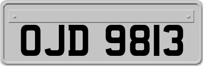 OJD9813
