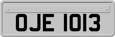 OJE1013