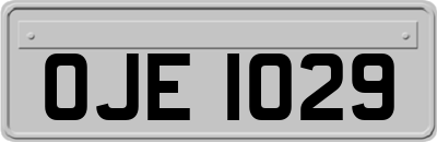 OJE1029