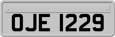 OJE1229