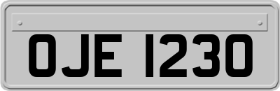 OJE1230