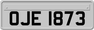 OJE1873