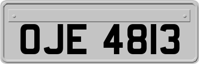 OJE4813