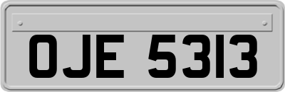 OJE5313