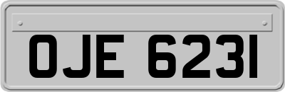 OJE6231