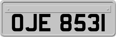 OJE8531