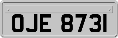 OJE8731