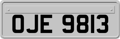 OJE9813