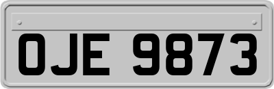 OJE9873