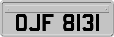 OJF8131