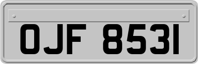 OJF8531