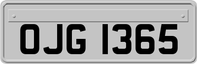 OJG1365